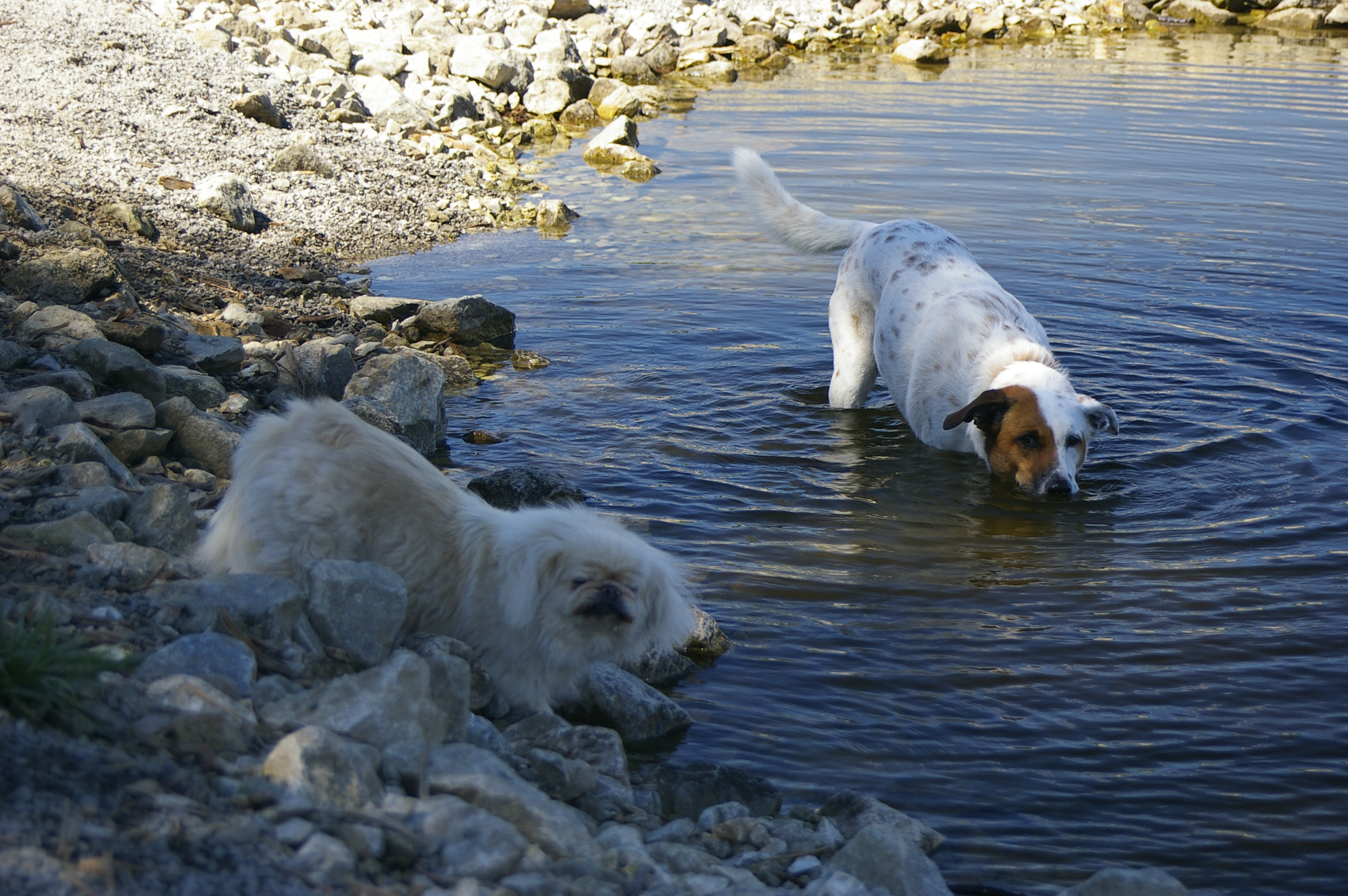 Buddy & Candy